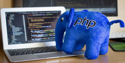 Консультация PHP-специалиста